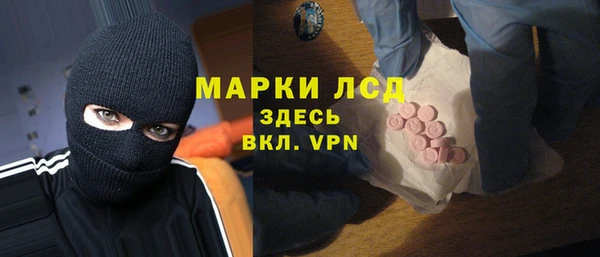 сатива Гусь-Хрустальный