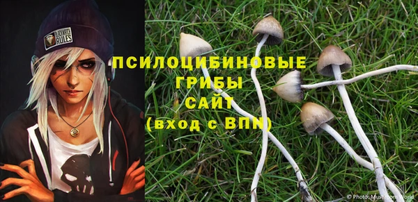 jwh Гусев
