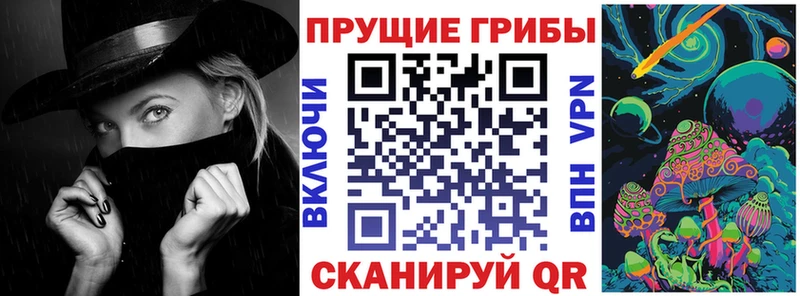 купить наркотик  дарк нет официальный сайт  Псилоцибиновые грибы Psilocybe  Мончегорск 