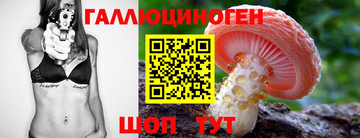 Мончегорск  Галлюциногенные грибы Magic Shrooms  Вход с VPN 